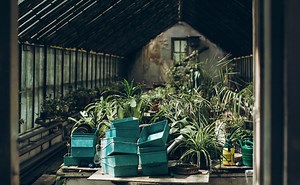 How to Design a Year-Round Solar Greenhouse – Mother Earth News