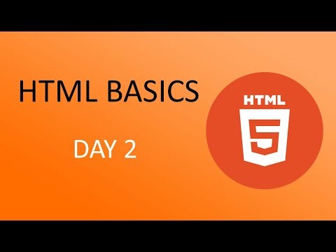 HTML Document Structure Explained | HTML, Head, and Body Tags for Beginners