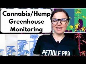 AI Greenhouse Monitoring for Cannabis/Hemp: Raspberry Pi Cameras, Sensors & YOLO Explained