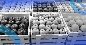 Multiclass Classification: An Introduction | Built In