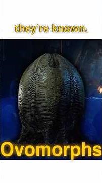 The Egg Comes First... - Every Xenomorph Explained