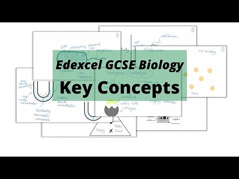 The WHOLE of Edexcel GCSE Biology KEY CONCEPTS