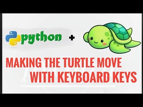 pyTurtle 8 | Moving the turtle with keyboard keys | #pyGuru