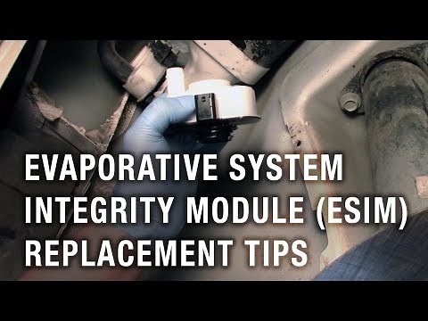 Evaporative System Integrity Module (ESIM) Replacement Tips