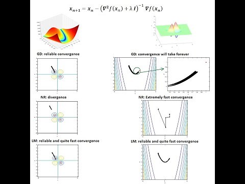 Levenberg-Marquardt Algorithm