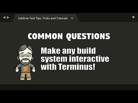 [CQ32] Make any build system interactive with Terminus!