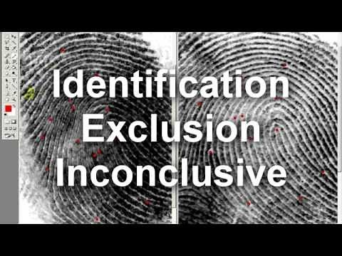 How to Compare Fingerprints - The Basics