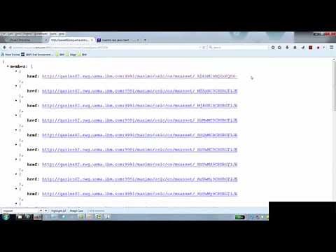 Maximo 76 JSON API Getting Started