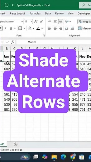 Shade Alternate Rows with Conditional Formatting in Excel #excelwithbrainbell #excel