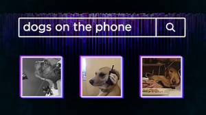 Using Semantic Search to Find GIFs | Pinecone