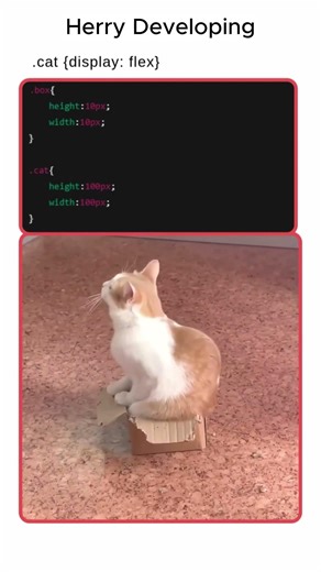 When display:flex Fixes Your Entire Life 😂 #shortsvideo #shortsvideo #coding #css3 #programming #ai