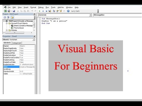 Visual Basic for Learners 1. Some basic code and commands