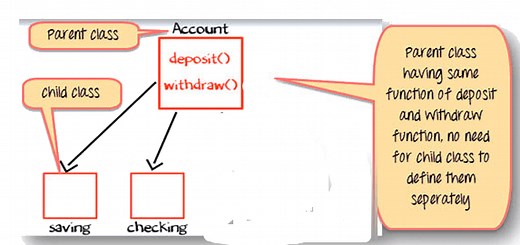 Polymorphism in Java (Static and Dynamic)