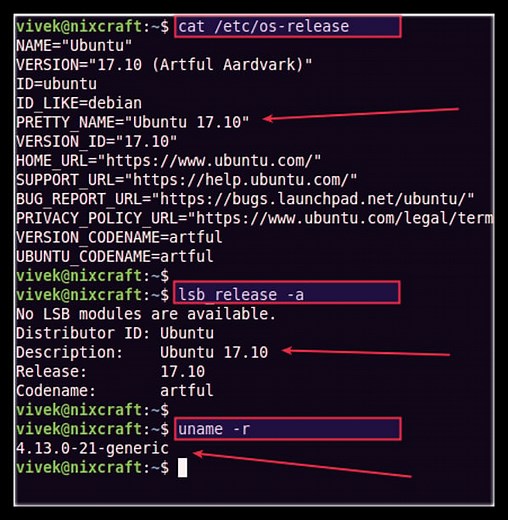 How to check os version in Linux command line