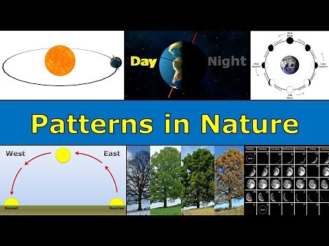 Patterns in Nature Overview