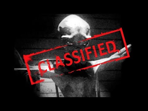 Alien Interview über den Sinn des Lebens