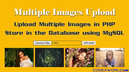 Upload Multiple Images and Store in Database using PHP and MySQL - CodexWorld
