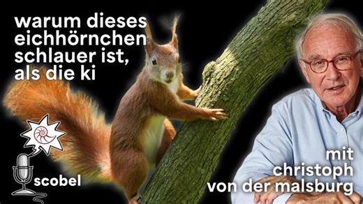 Das fundamentale Dilemma des Deep Learning  – scobel im Gespräch: Mit Christoph von der Malsburg | Reinhild Otten