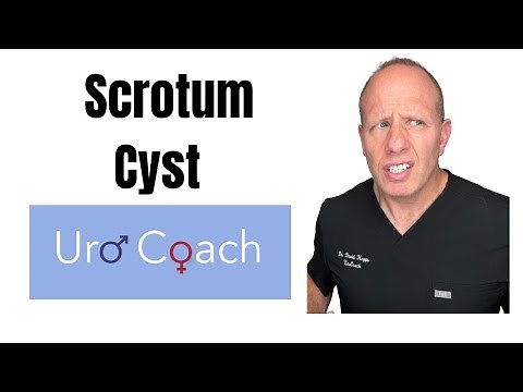 Cyst In Your Scrotum...What Is It?… What To Do?
