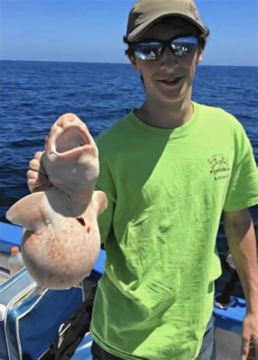 Alien Fish Mystery Solved - after studying the photos the experts agree that the strange fish is an albino swell shark - still alive and well! Thanks Jaime for the great story and for releasing this cute critter. Read more in the first comment! | Soldiers Reunion