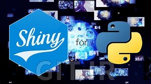 Shiny for Python Ultimate: Web Development with Python