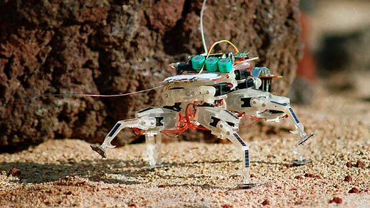 Design a Robotic Insect – Science Lesson | NASA JPL Education