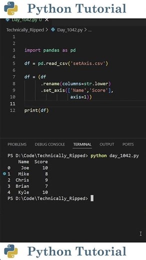 The Pandas Function Nobody Uses for Renaming | Python Tutorial