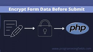 Encrypt Form Data in JavaScript Using Crypto JS Before Submit to Server