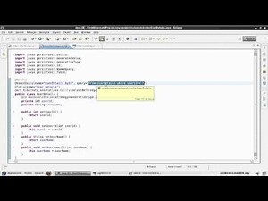 Hibernate Tutorial 28 - Named Queries