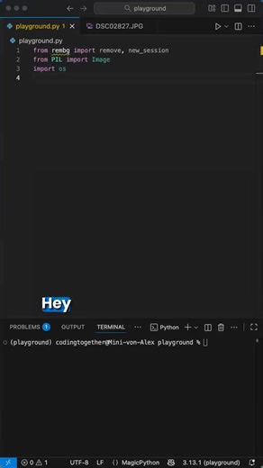 Remove Backgrounds in Python #python #coding #pythonprogramming | Laskenta Technologies Limited