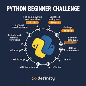 Start learning Python today 💻 | Codefinity