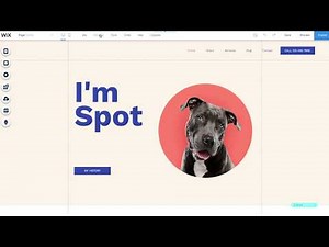 How to Make Your Website Multilingual | Wix.com