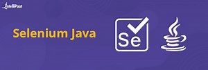 How to Use Selenium with Java?