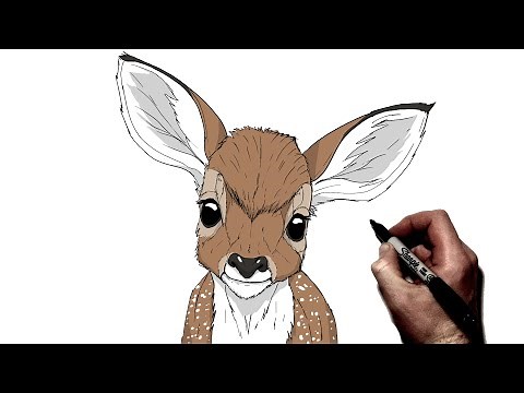 How To Draw A Deer Fawn | Step By Step |