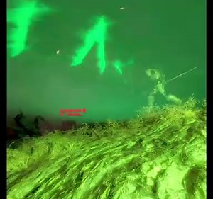 Alien vs Predator Night Spawn