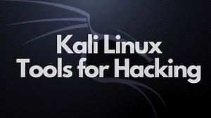 21 Best Kali Linux Tools for Hacking and Penetration Testing