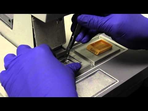 Histology: Embedding Process