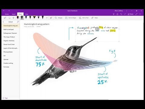 How to Become a Microsoft Onenote Expert ? Detailed Tutorial #Onenote