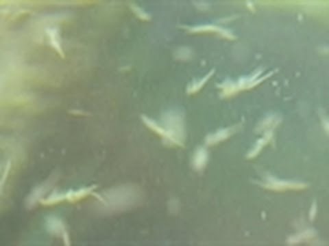 Earth's Most Alien Places | Alien Encounters