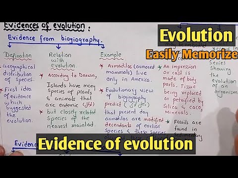 Evidence of evolution | Class 12 Biology