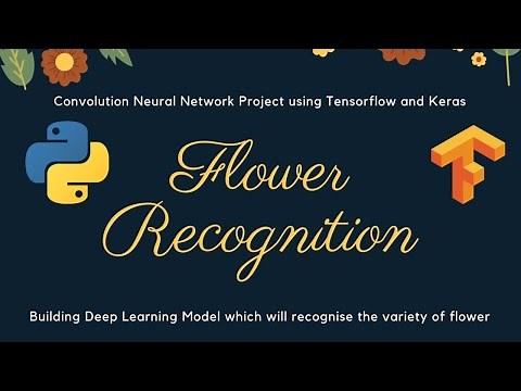 Image Recognition Project | Building Flower Recognition System using Python Tensorflow and Keras
