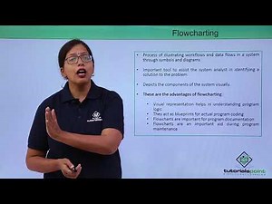 Software Flowcharting