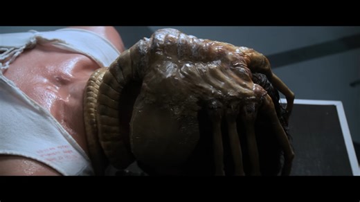 What if alien creatures are just evolution taken further than we expect