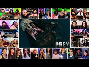 Predator Kills French Hunters | Prey (2022) reaction mashup