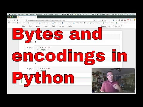 Bytes and encodings in Python