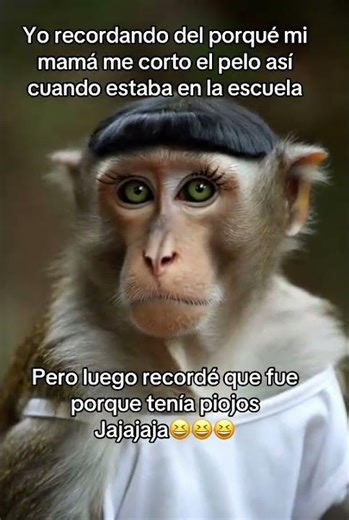 #fypシ #humor #suscribense #memes #supcribete #suscriptores #tutorial #comedia #risa #new #reels