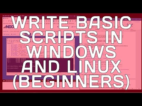 Cisco Academy ITEv7 Lab 14.4.2.7 - Write Basic Scripts in Windows and Linux