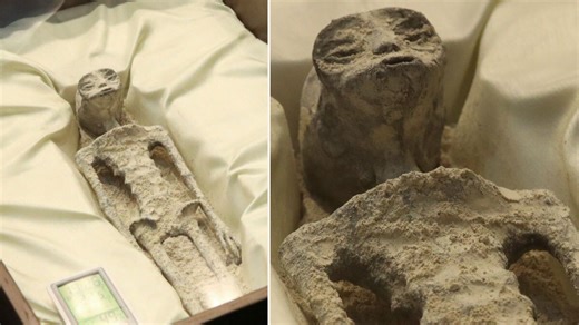 Mysterious non-human-like fossils spark alien debate. See pictures here