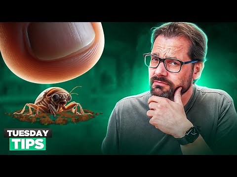 Stop Using print(): Learn the VSCode Debugger