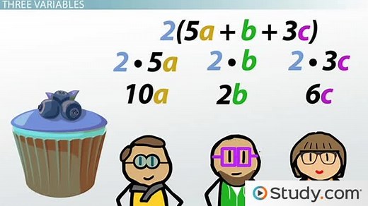 Distribution in Math | Definition, Process & Examples
